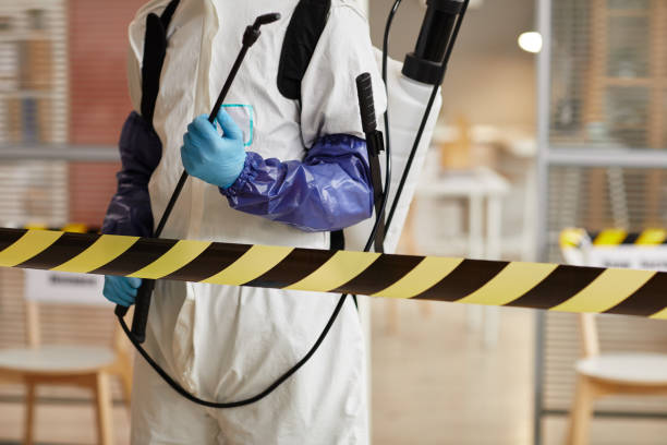 Professional Hoarding Cleanup technician working in New Smyrna Beach, FL